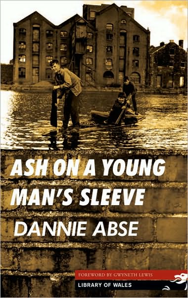 Cover for Dannie Abse · Ash on a Young Man's Sleeve - Library of Wales (Paperback Book) (2006)