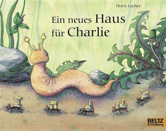 Cover for Lecher · Ein neues Haus für Charlie (Bog)