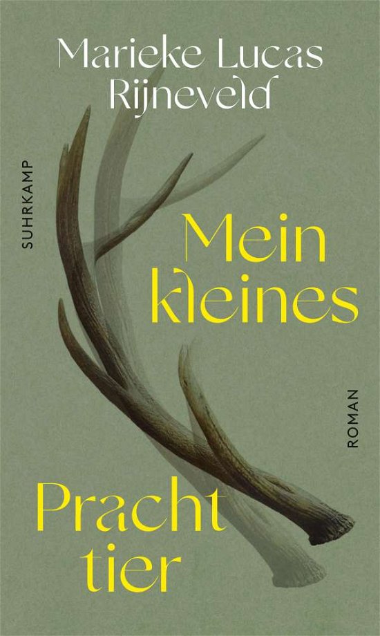 Cover for Marieke Lucas Rijneveld · Mein kleines Prachttier (Hardcover Book) (2021)