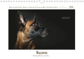 Malinois - Triebstarke Hunde mit - Wrede - Książki -  - 9783670631255 - 