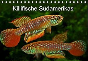 Killifische Südamerikas (Tisch - Pohlmann - Böcker -  - 9783670727255 - 