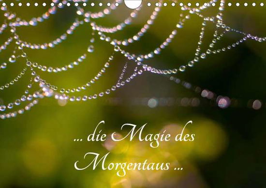 Cover for Kron · ... die Magie des Morgentaus ... ( (Book)