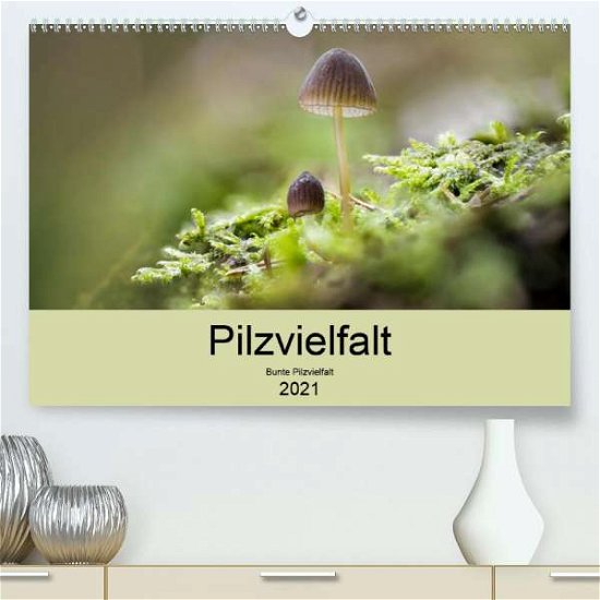 Cover for Reim · Pilzvielfalt (Premium, hochwertige (Buch)