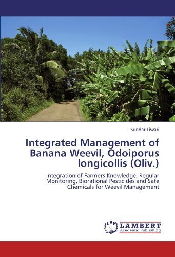 Cover for Sundar Tiwari · Integrated Management of Banana  Weevil, Odoiporus Longicollis (Oliv.): Integration of Farmers Knowledge, Regular Monitoring, Biorational Pesticides and Safe Chemicals for Weevil Management (Paperback Book) (2011)