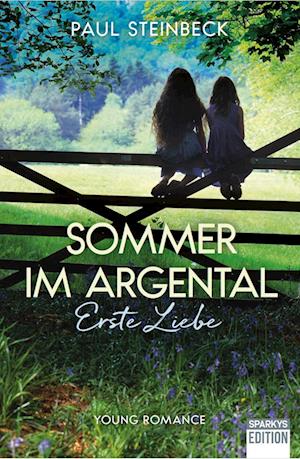 Cover for Paul Steinbeck · Sommer im Argental (Book) (2024)