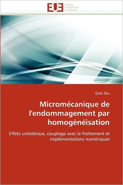 Cover for Qizhi Zhu · Micromécanique De L'endommagement Par Homogénéisation: Effets Unilatéraux, Couplage Avec Le Frottement et Implémentations Numériques (Paperback Bog) [French edition] (2018)