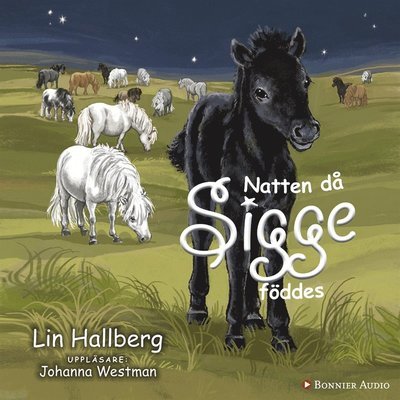 Cover for Lin Hallberg · Sam och Sigge: Natten då Sigge föddes (Audiobook (MP3)) (2016)