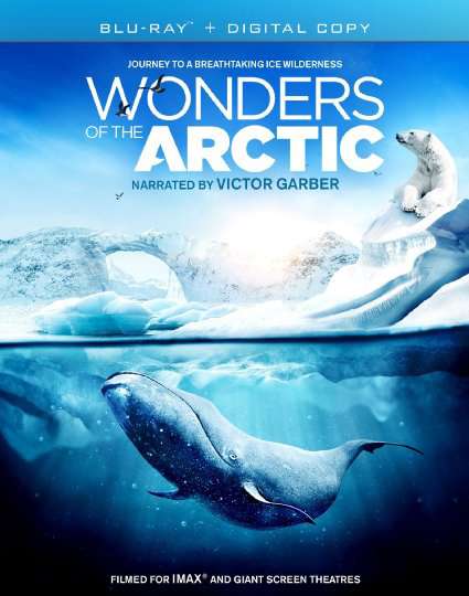 Cover for Imax: Wonders of the Arctic · Wonders Of The Arctic (Blu-ray) (2016)