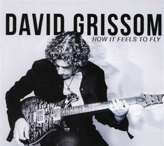 Cover for David Grissom · How It Feels To Fly (CD) (2014)