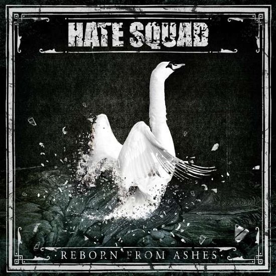 Reborn From Ashes - Hate Squad - Musik - MASSACRE - 4028466920256 - 15. februar 2019