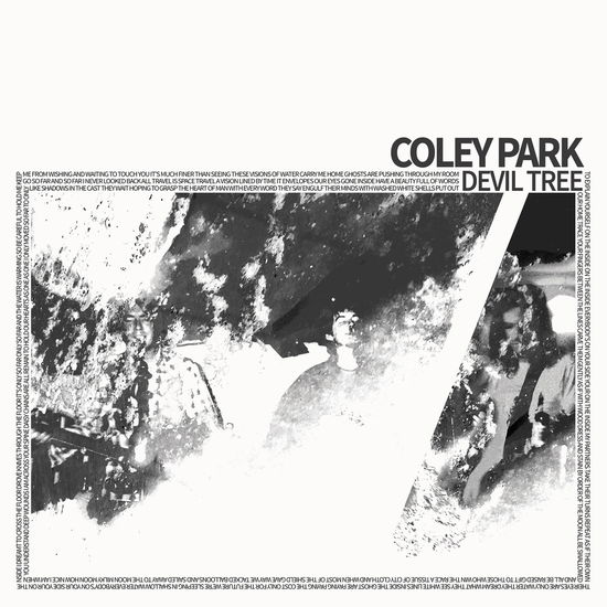 Cover for Coley Park · Devil Tree - Clear Vinyl (LP) (2024)