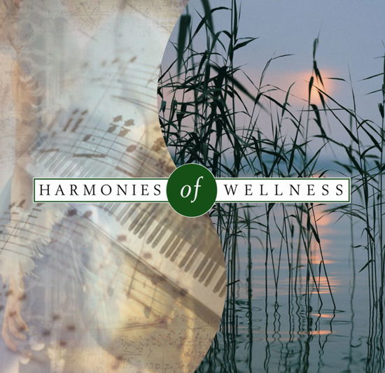 Harmonies of Wellness - Klaus Schønning - Música - MusicVenture - 5706274002256 - 2008