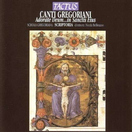 Adorate Deum in Sanctis Eius - Schola Gregoriana / Bellinazzo - Musik - TACTUS - 8007194101256 - 12. Oktober 1999