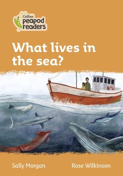 Cover for Sally Morgan · Level 4 - What lives in the sea? - Collins Peapod Readers (Pocketbok) [American edition] (2021)