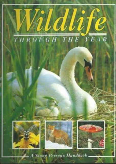 Wildlife Throughout the Year - Andrew Cleave - Books - Heinemann Educational Books - Library Di - 9780600577256 - December 4, 1998