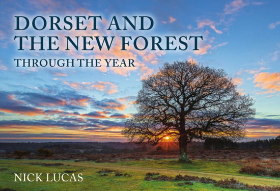 Cover for Nick Lucas · Dorset and the New Forest Through the Year (Paperback Book) (2025)