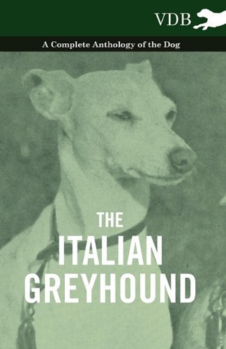 Cover for The Italian Greyhound - a Complete Anthology of the Dog (Pocketbok) (2010)