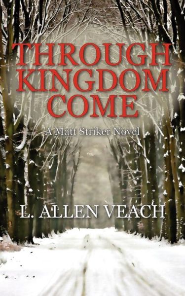 Cover for L Allen Veach · Through Kingdom Come: A Matt Striker Novel (Paperback Book) (2013)