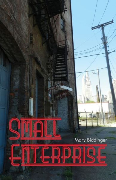 Cover for Mary Biddinger · Small Enterprise (Paperback Book) (2015)