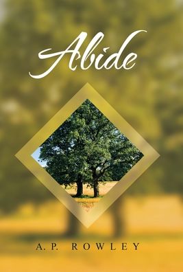 Cover for A P Rowley · Abide (Hardcover Book) (2021)