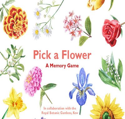 Cover for Anna Day · Pick a Flower: A Memory Game (Flashkort) (2018)