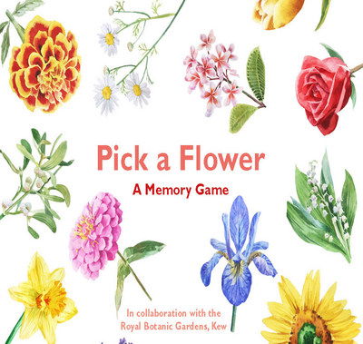 Cover for Anna Day · Pick a Flower: A Memory Game (Flashcards) (2018)