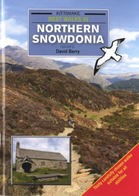 Best Walks in Northern Snowdonia - David Berry - Books - Kittiwake Press - 9781908748256 - April 1, 2015