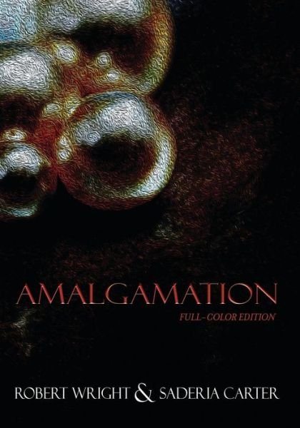Cover for Robert Wright · Amalgamation (Paperback Book) (2018)