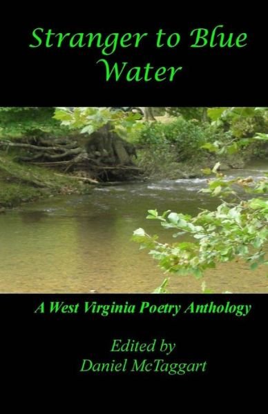 Stranger To Blue Water - Daniel McTaggart - Livros - Local Gems Press - 9781946157256 - 29 de março de 2018