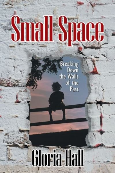 Cover for Gloria Hall · Small Space (Pocketbok) (2021)