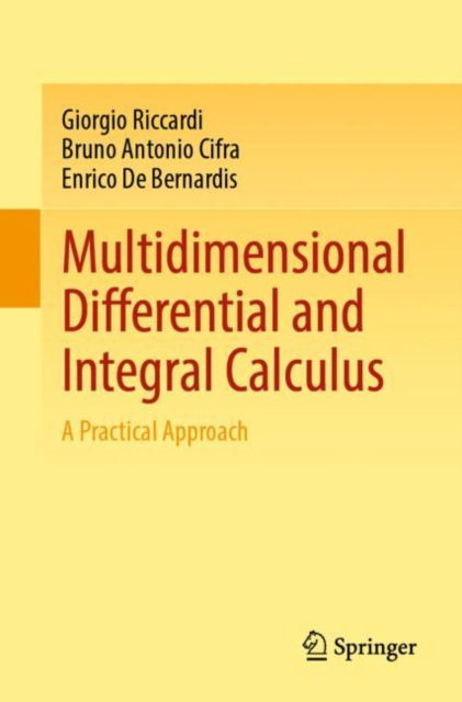 Multidimensional Differential and Integral Calculus: A Practical Approach - Giorgio Riccardi - Böcker - Springer International Publishing AG - 9783031703256 - 7 november 2024