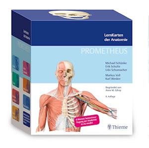 PROMETHEUS LernKarten der Anatomie - Michael Schünke - Brettspill - Georg Thieme Verlag - 9783132444256 - 9. februar 2022