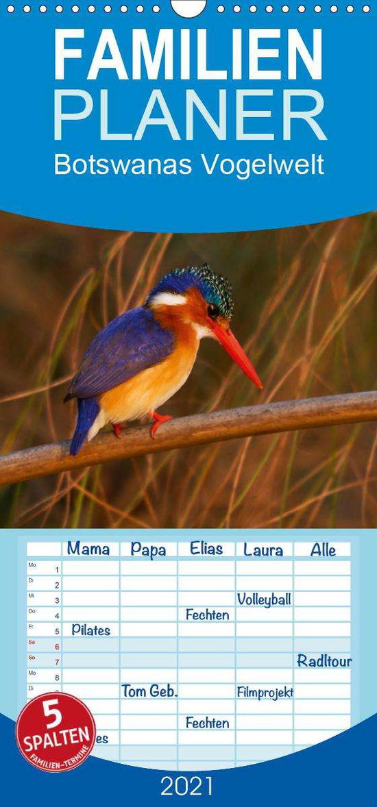 Botswanas Vogelwelt - Familienplane - Voß - Books -  - 9783672180256 - 