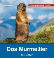 Cover for Barbara Rath · Das Murmeltier (Book) (2023)