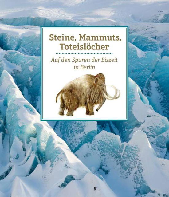 Cover for Witzel · Steine, Mammuts, Toteislöcher (Book)