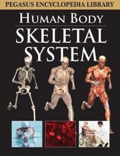 Cover for Pegasus · Skeletal System (Hardcover Book) (2011)