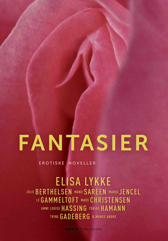 Cover for Elisa Lykke m.fl. · Fantasier (Heftet bok) [1. utgave] (2021)