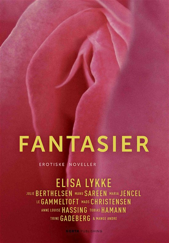 Cover for Elisa Lykke m.fl. · Fantasier (Poketbok) [1:a utgåva] (2021)