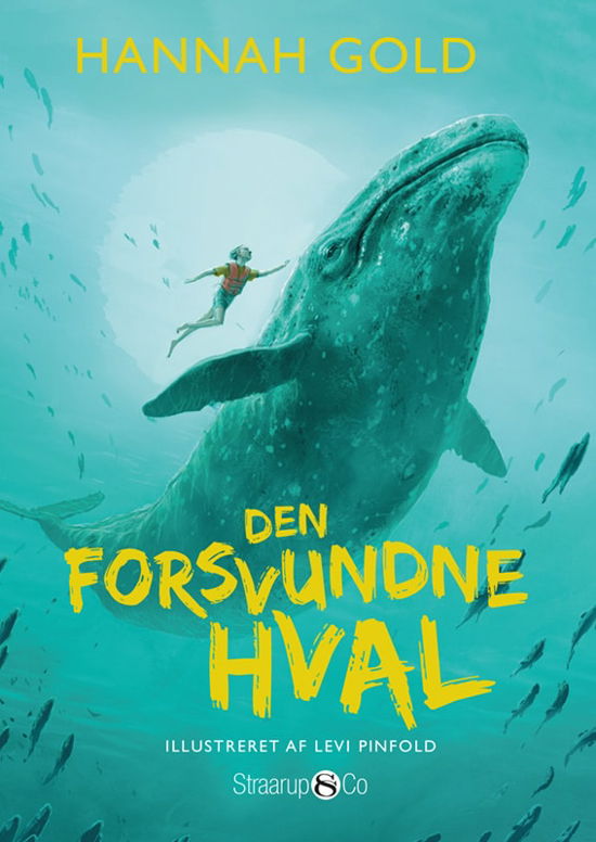 Cover for Hannah Gold · Den forsvundne hval (Pocketbok) [1. utgave] (2023)