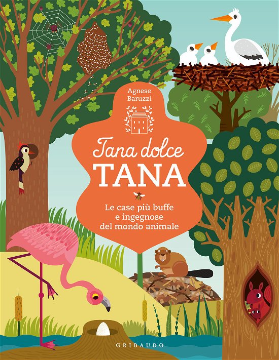 Cover for Agnese Baruzzi · Tana Dolce Tana. Le Case Piu Buffe E Ingegnose Del Mondo Animale. Ediz. A Colori (Book)