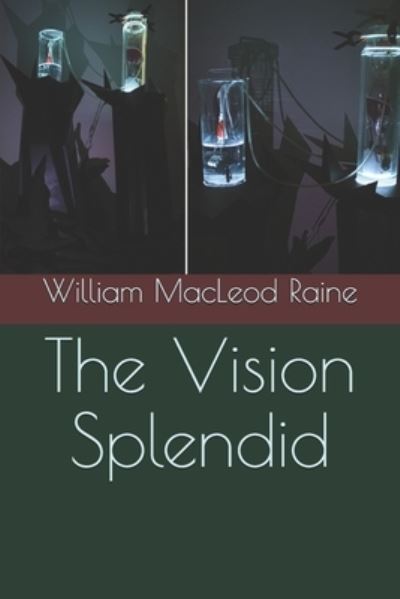 Cover for William MacLeod Raine · The Vision Splendid (Paperback Book) (2021)