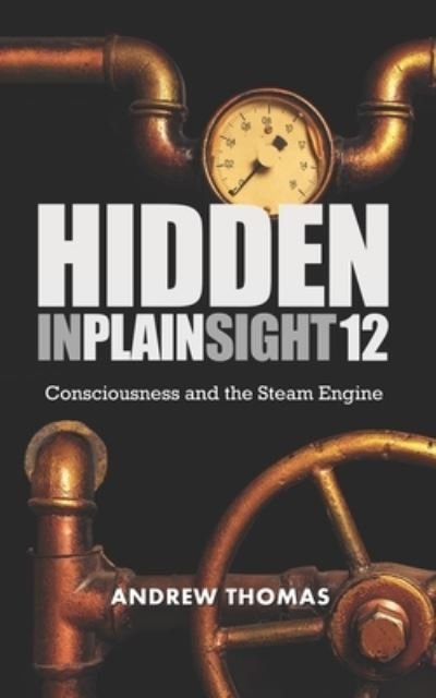 Cover for Andrew Thomas · Hidden In Plain Sight 12 (Taschenbuch) (2021)