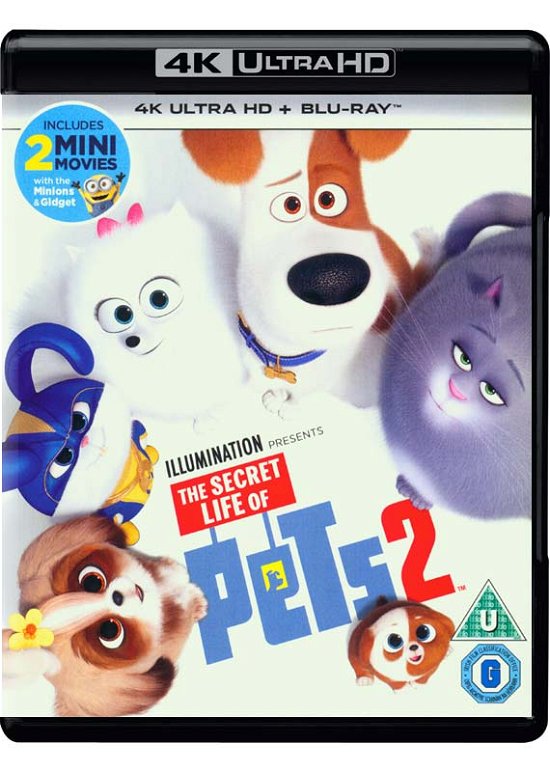 Cover for The Secret Life of Pets 2 (4K UHD Blu-ray) (2019)