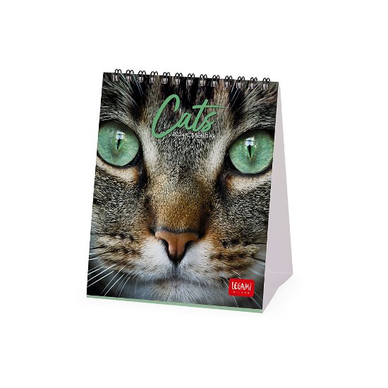 Cover for Legami · Desk Calendars - 2024 Desk Calendar - Cats - 12x14.5 - Cats (Paperback Bog) (2023)
