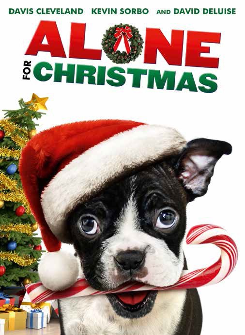 Cover for Alone for Christmas · Alone For Christmas (DVD) (2015)