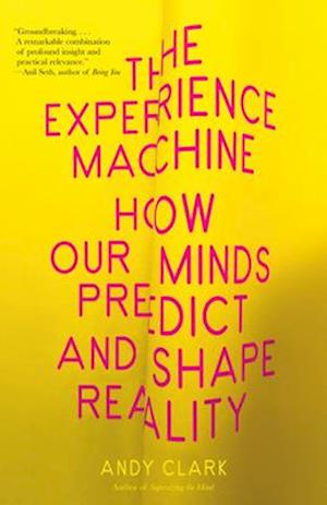 Cover for Andy Clark · The Experience Machine: How Our Minds Predict and Shape Reality (Paperback Book) (2024)