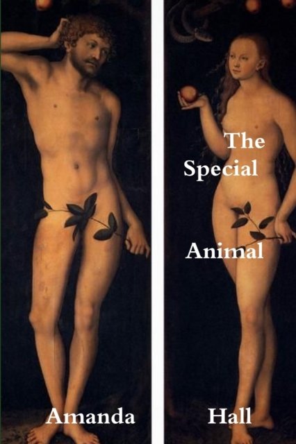 Cover for Amanda Hall · The Special Animal (Paperback Bog) (2018)