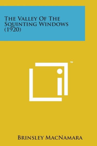 The Valley of the Squinting Windows (1920) - Brinsley Macnamara - Books - Literary Licensing, LLC - 9781498198257 - August 7, 2014