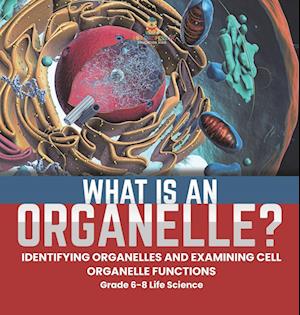 Cover for Baby Professor · What Is an Organelle? Identifying Organelles and Examining Cell Organelle Functions Grade 6-8 Life Science (Book) (2024)