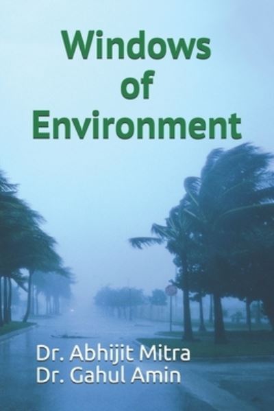 Cover for Abhijit Mitra · Windows of Environment (Paperback Book) (2019)